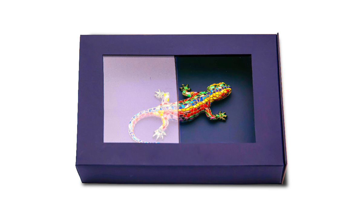 An image of a colorful lizard